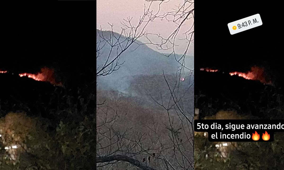 “Ya son cinco días y el fuego sigue”: pobladores claman ayuda por incendio forestal en Mazatlán y San Ignacio