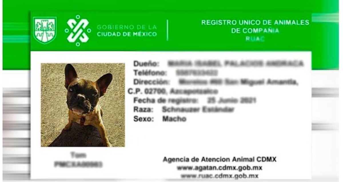 ¿Por qué es vital registrar a tus mascotas en CDMX? Entérate