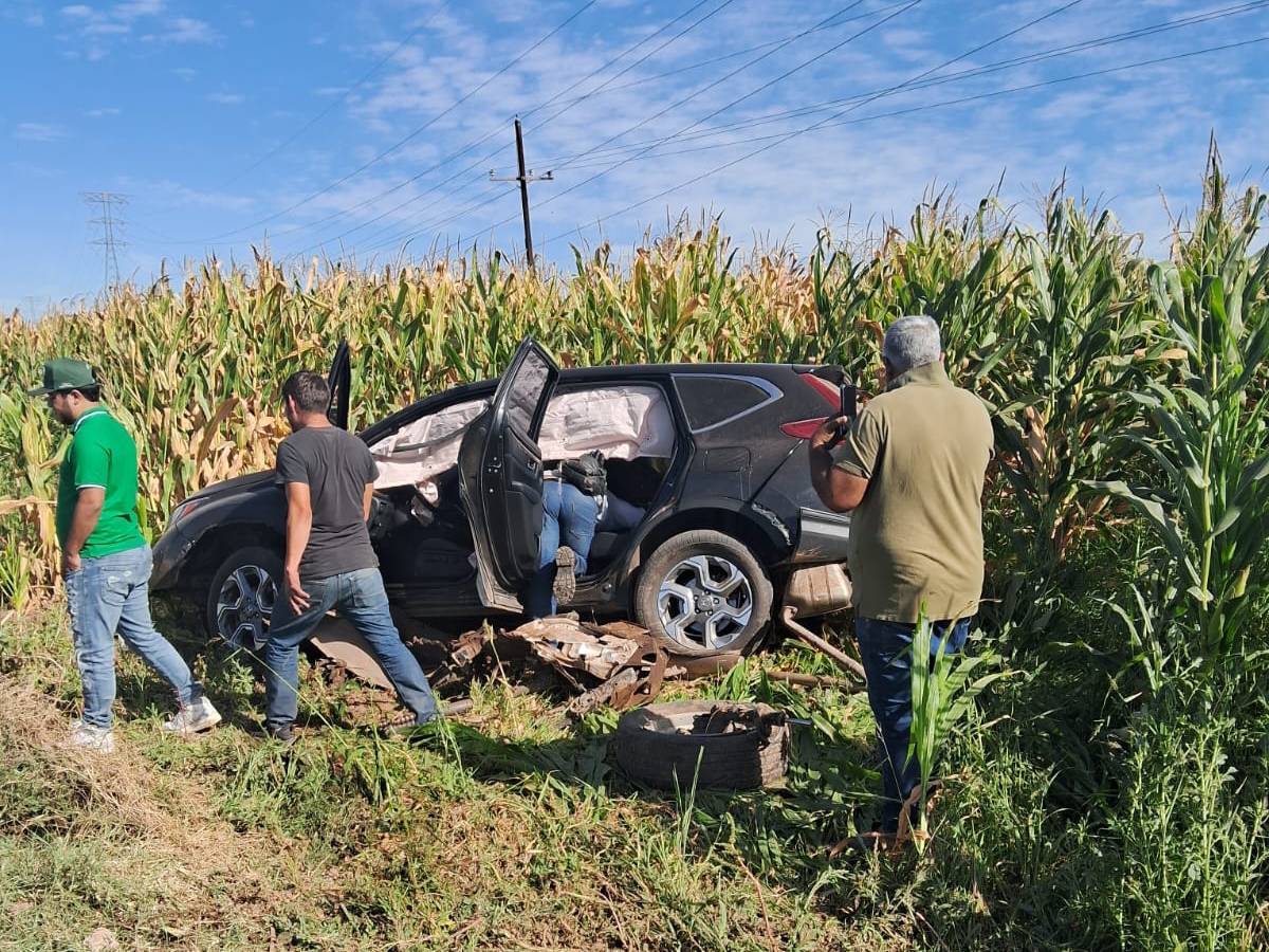 Miguel terminó entre los maíces al perder el control de su camioneta, en Guasave
