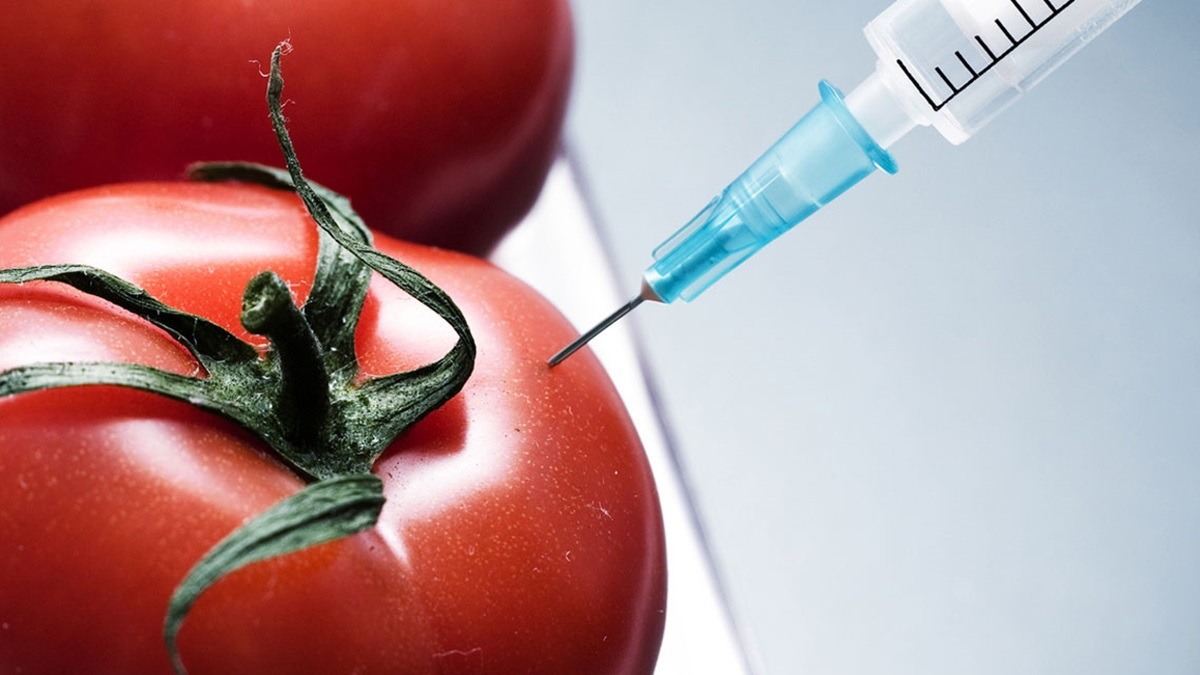 8 de abril | ¿Son mejores los alimentos transgénicos? Esto sabemos