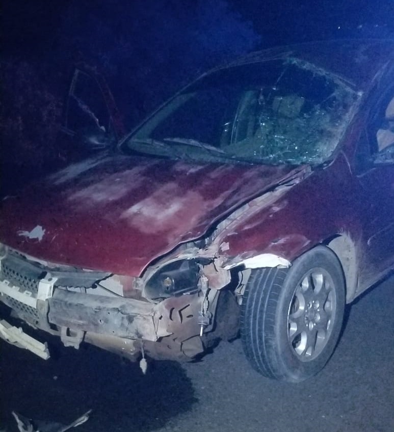 ¡Se le atraviesa un caballo! Automovilista embiste al animal en Las Glorias, Guasave