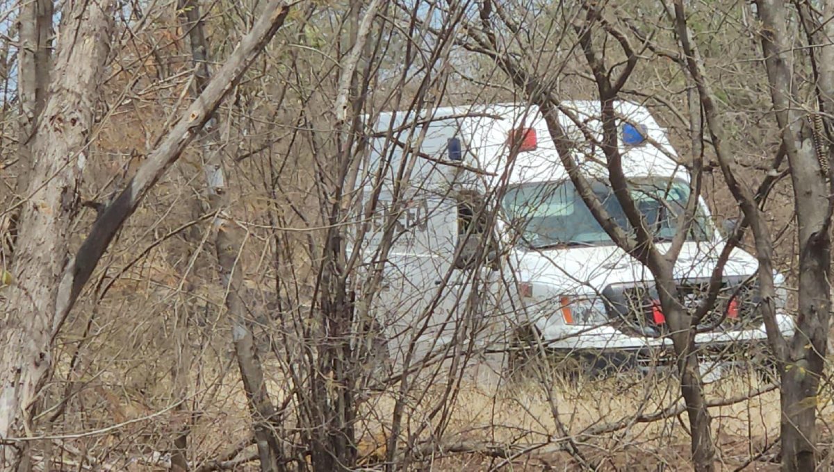 Localizan osamenta humana en camino al dique de La Primavera en Culiacán