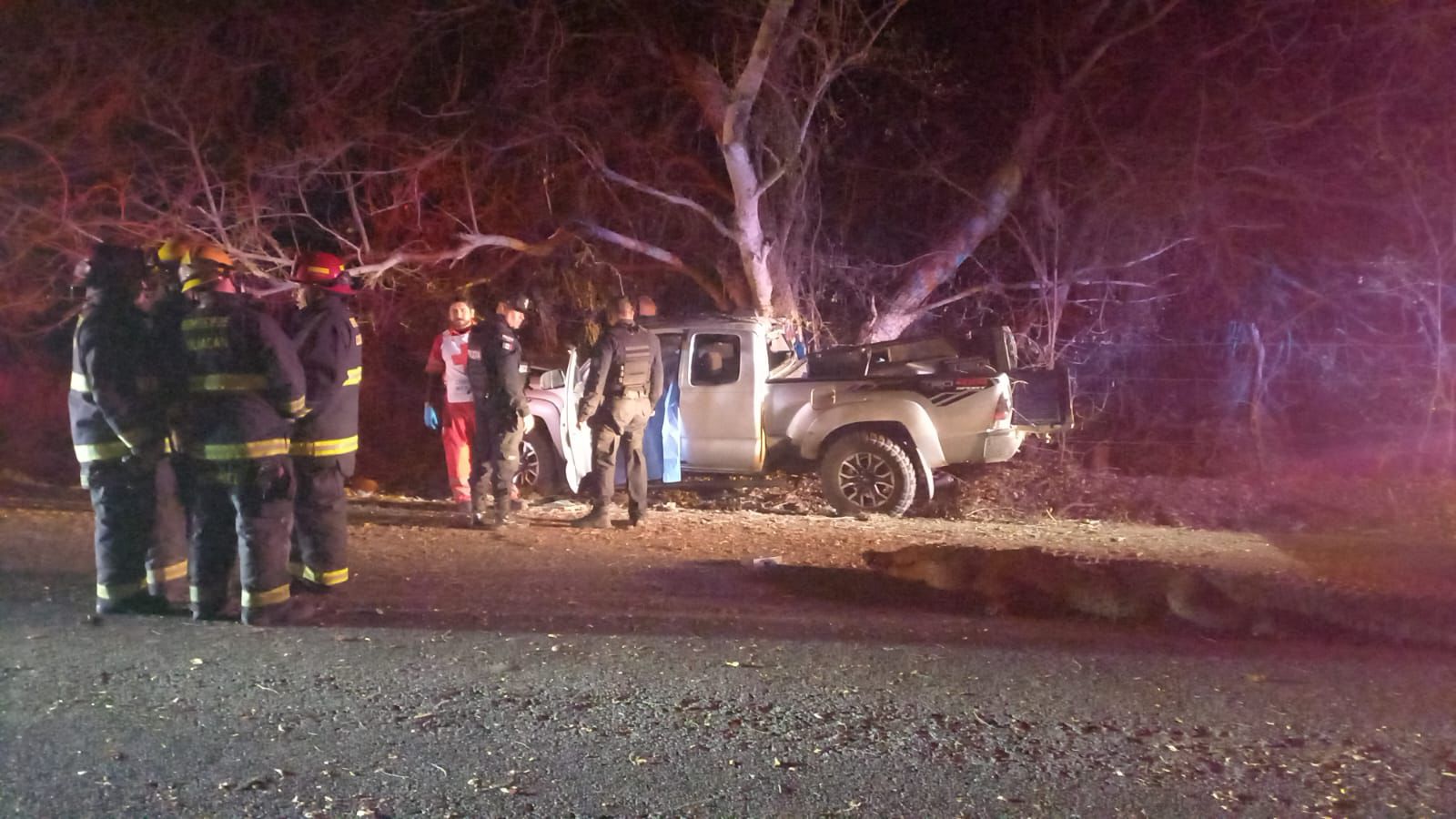 Tragedia familiar: Hay dos personas graves del accidente con cocodrilo en Eldorado