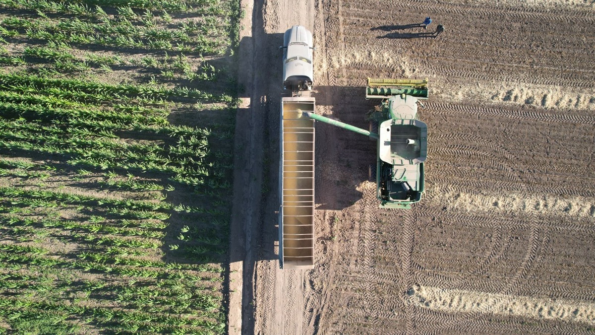 Piden productores de frijol al secretario de Agricultura en Sinaloa evitar caídas de precios