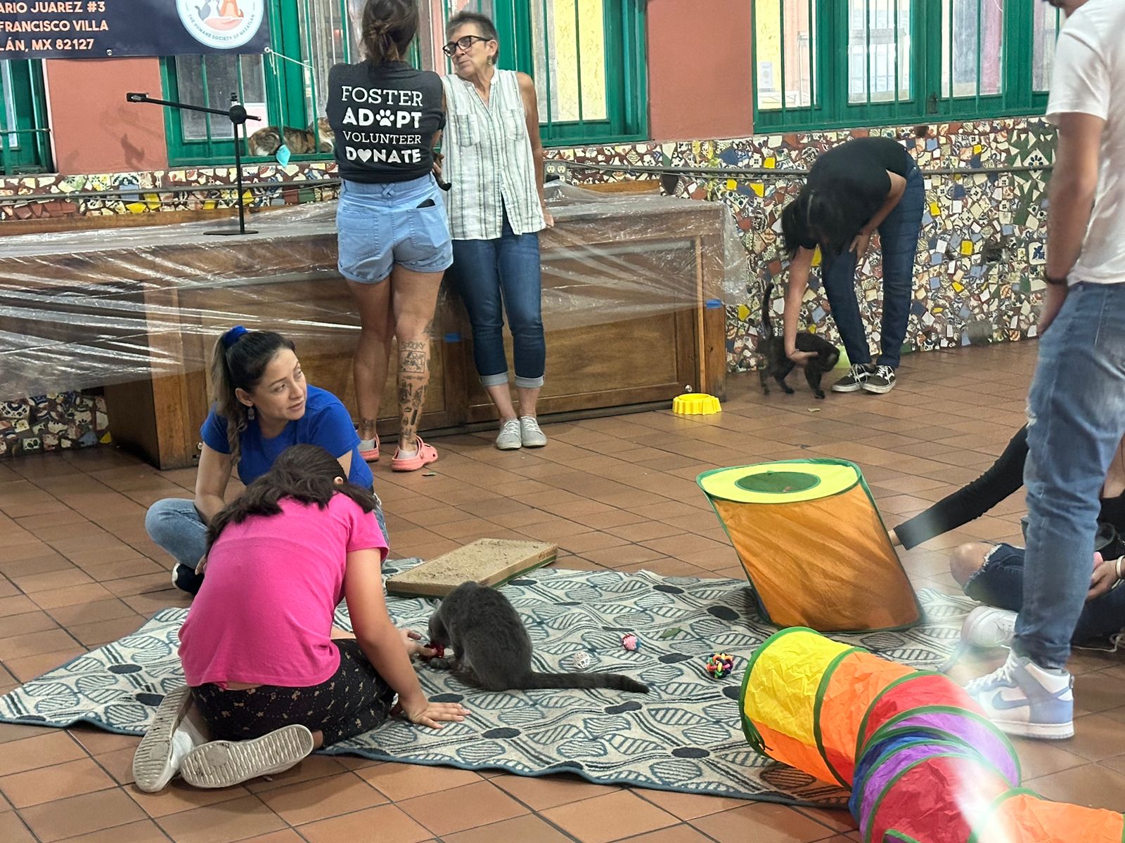 Disfrutan de una tarde de amor perruno y gatuno en la convivencia 2.0 de Amigos de los Animales en Mazatlán