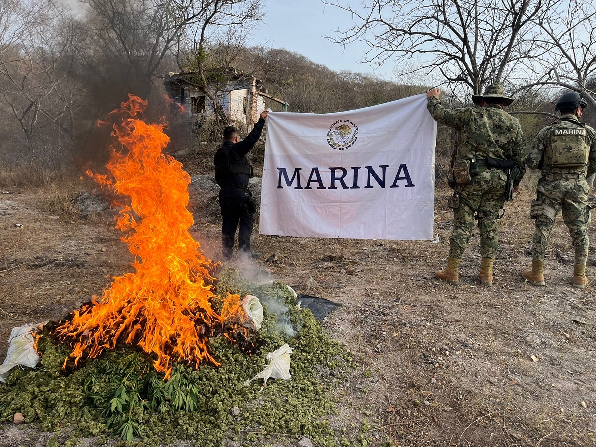 Marina incinera mariguana y semillas de Amapola en el municipio de Sinaloa