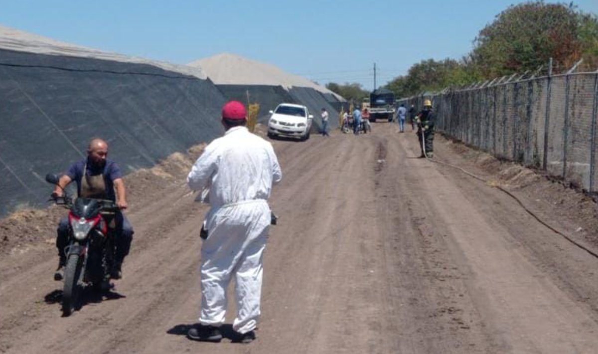 Bomberos acuden a un incendio en Costa Rica y son atacados por abejas