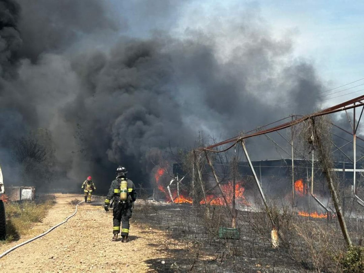 Se registra incendio en secadora de mangos en El Roble, Villa Unión
