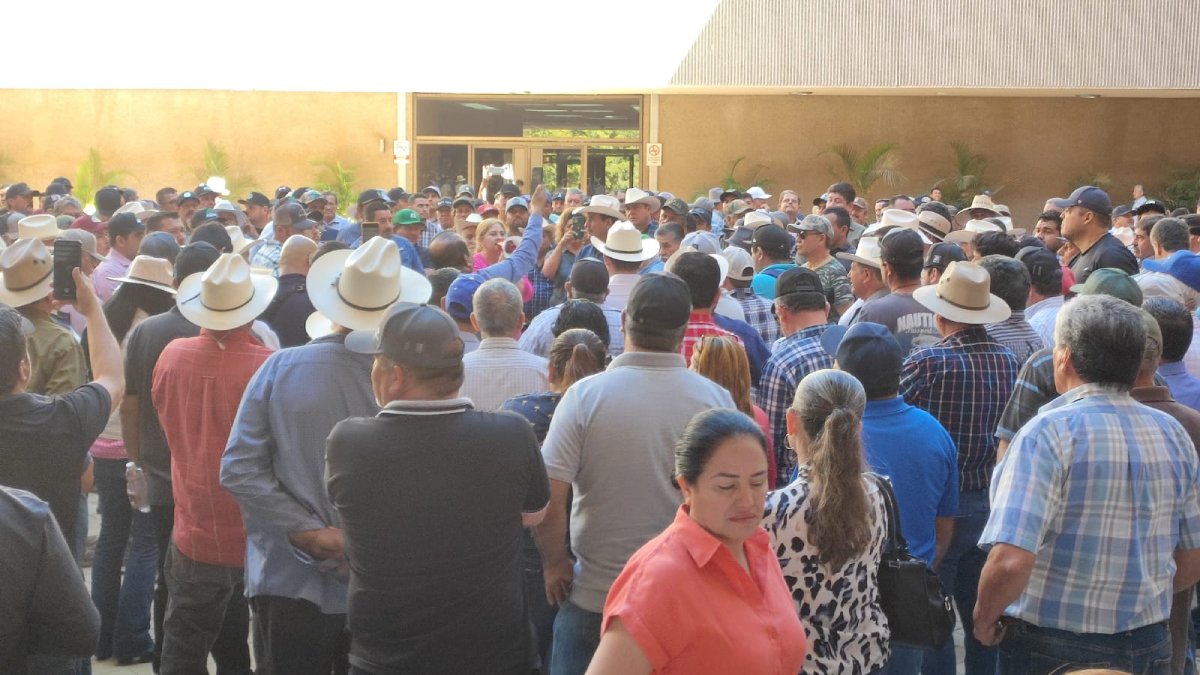Protestan productores de Sinaloa contra el precio establecido para el maíz