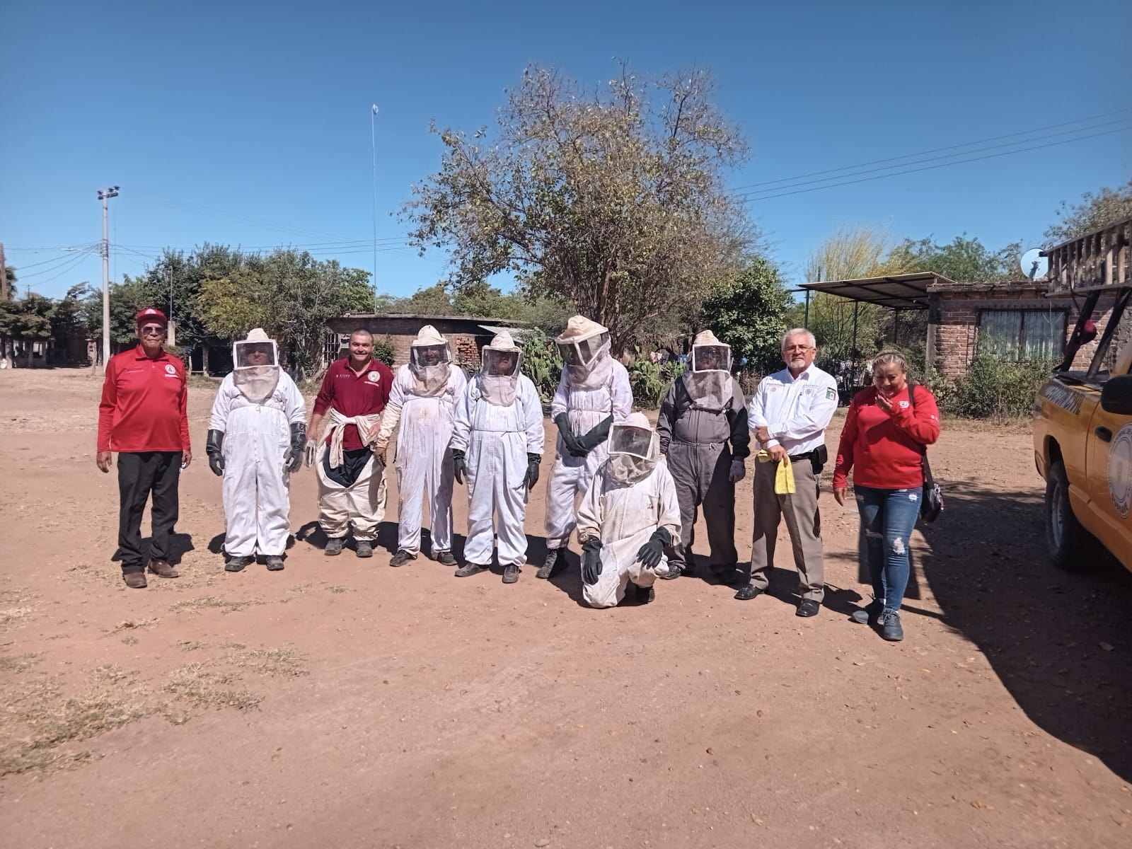 ¡Formarán un apiario! Protección Civil en Guasave realiza práctica de recuperación de abejas
