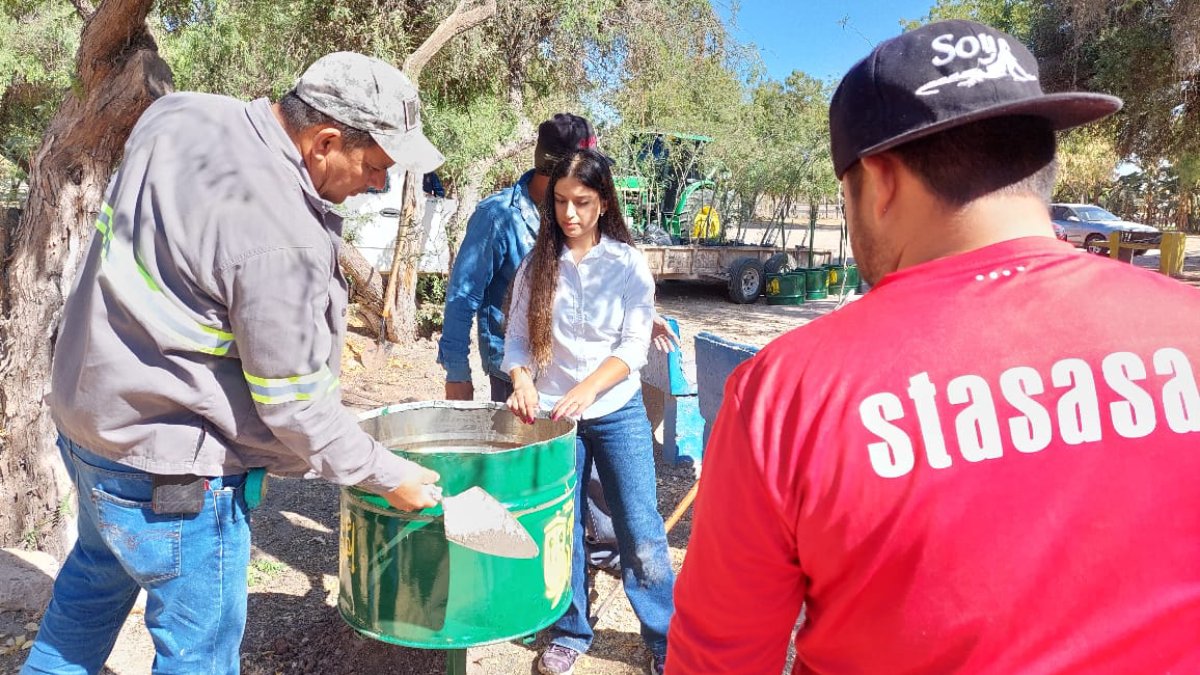 Inician trabajos de reforestación en parque recreativo Los Mezquites, en Guamúchil