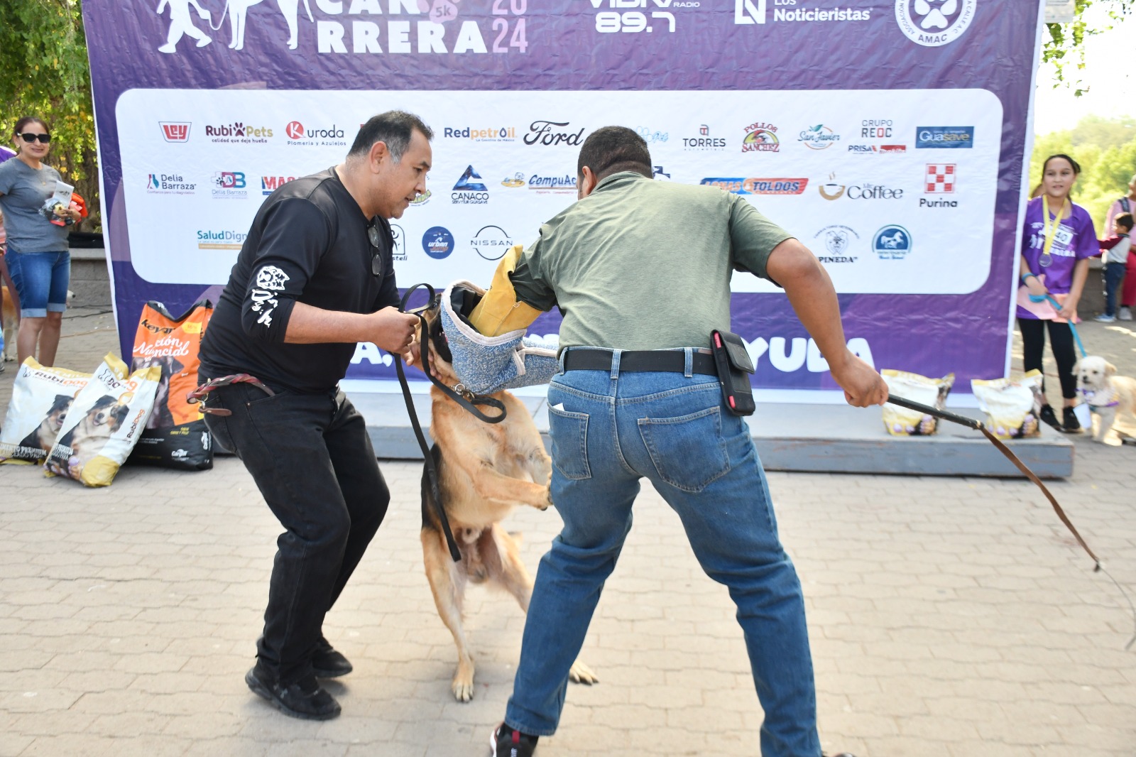 Demostración de canes entrenados, una rica tizana, bebidas, frutas, atención veterinaria y más; así la Canrrera en Guasave