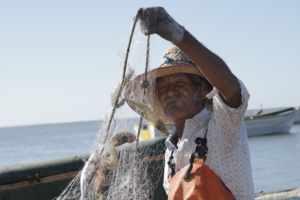 Se cae la demanda de lisas; capturas son óptimas, pero no encuentran mercado ni consumidores los pescadores