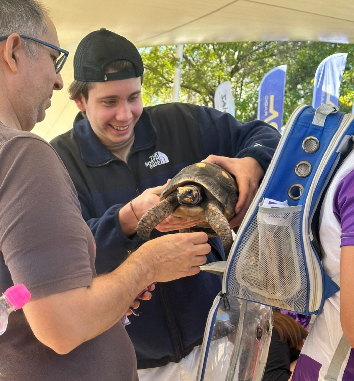 Encontramos a la tortuga más perrona en la Canrrera 2024 de Mazatlán