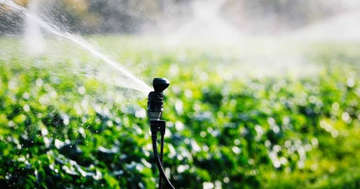 Se tiene que tecnificar el uso del agua en todo Sinaloa, señala Canacintra ante sequía extrema