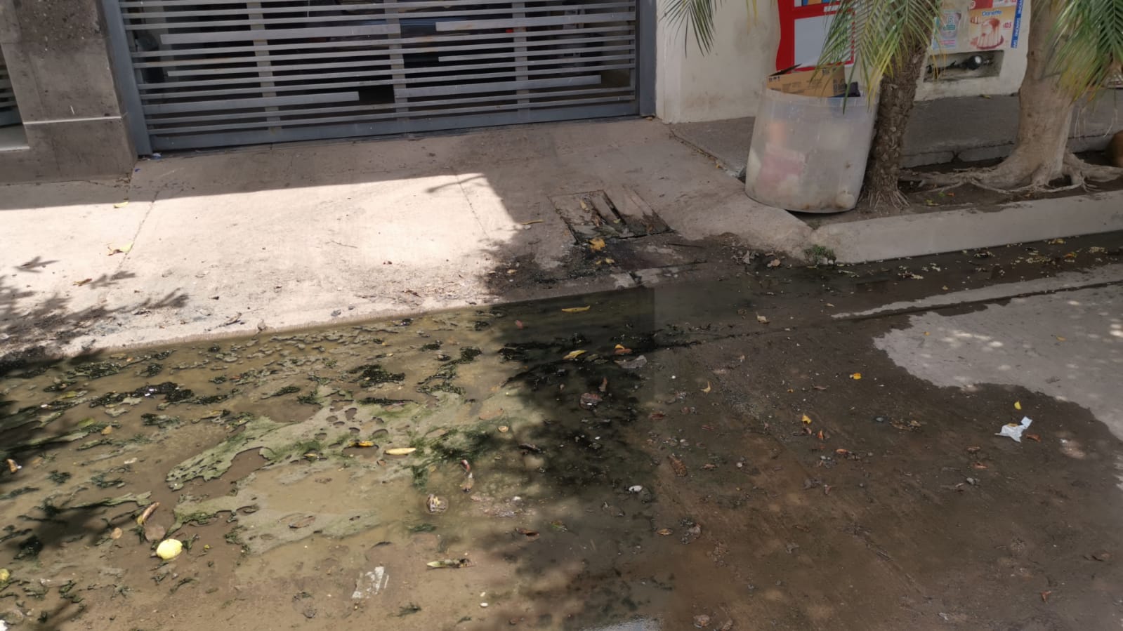 Entre aguas negras y niños enfermos, así viven vecinos del fraccionamiento Álamos Country en Los Mochis