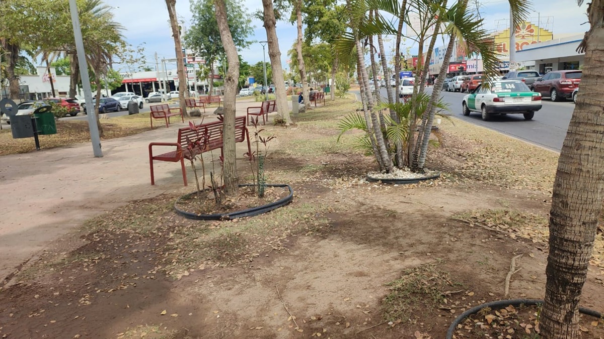 Tomarán agua del río en Ahome para regar camellones de Los Mochis