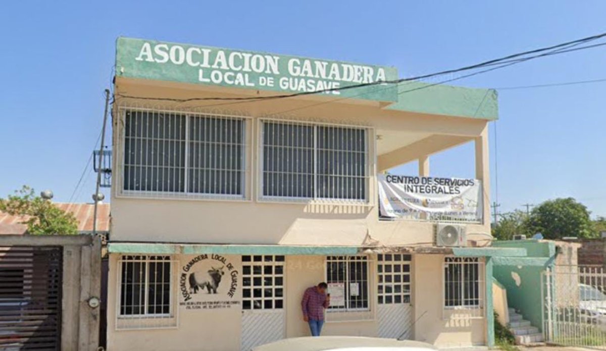 Ganaderos descartan brucelosis en hatos; continúan con trabajos de vacunación en el municipio de Guasave
