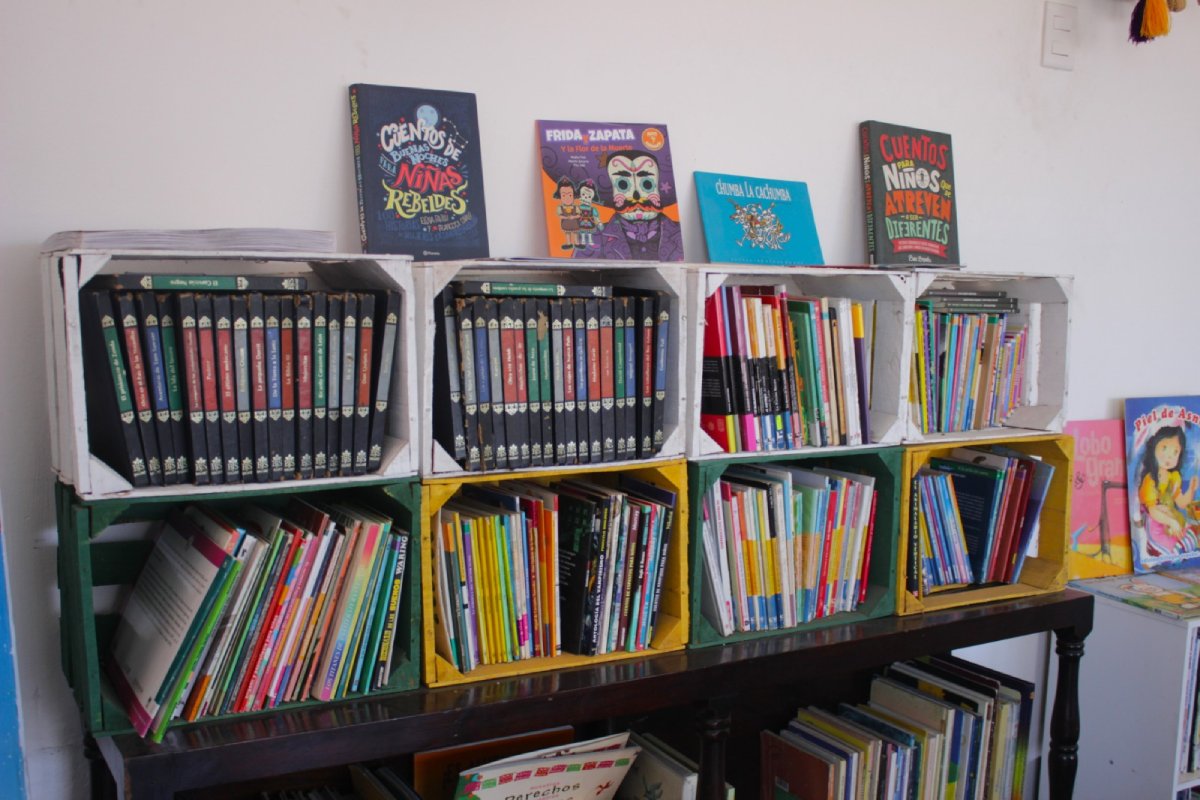 Las bibliotecas en Mazatlán se encuentran en peligro de extinción