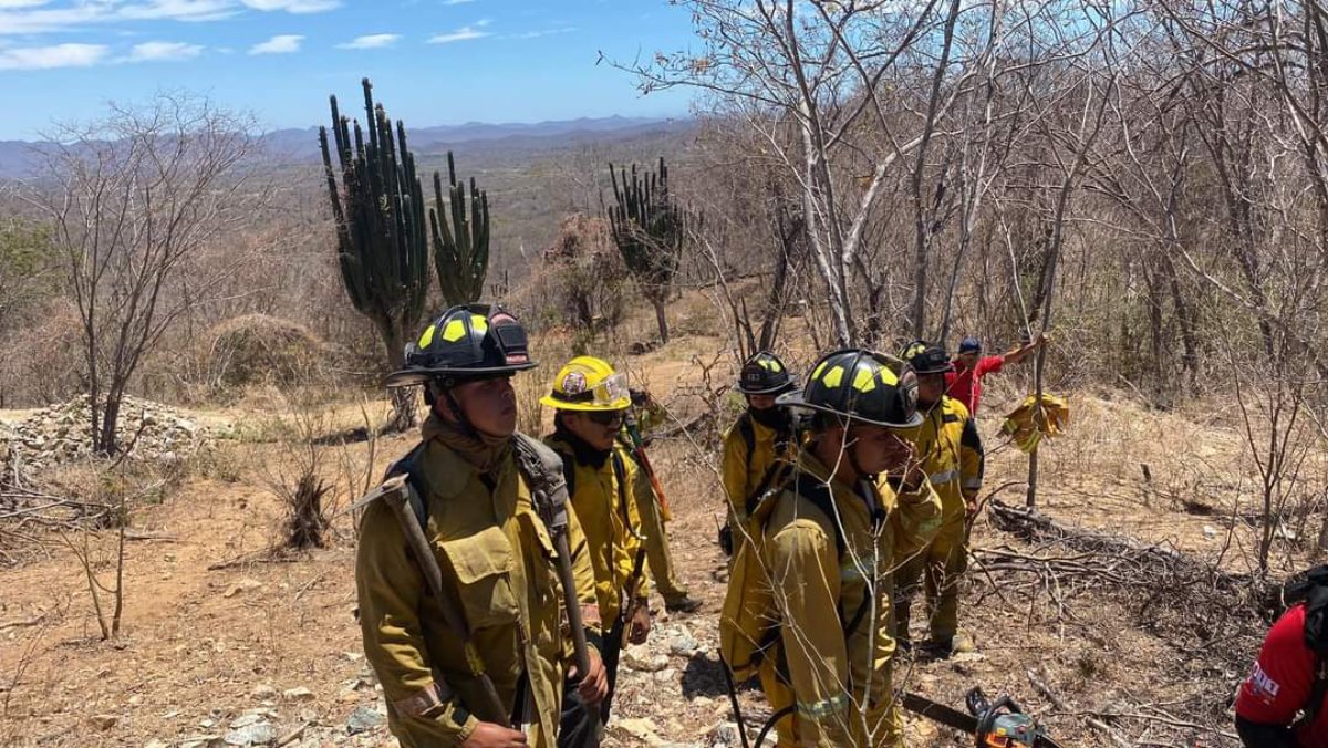 Exhorta Asociación Ganadera de Mazatlán a pueblos serranos evitar incendios y más sequía