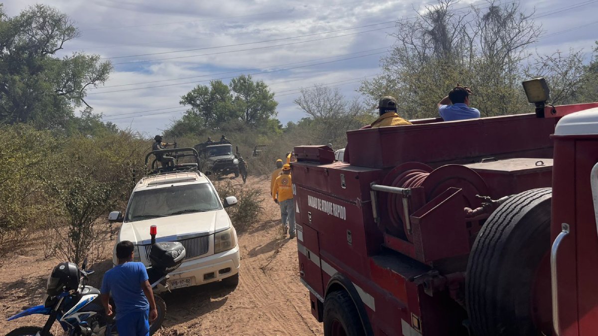 Se registra incendio forestal en El Fuerte; cuerpos de auxilio trabajan desde hace días en la zona