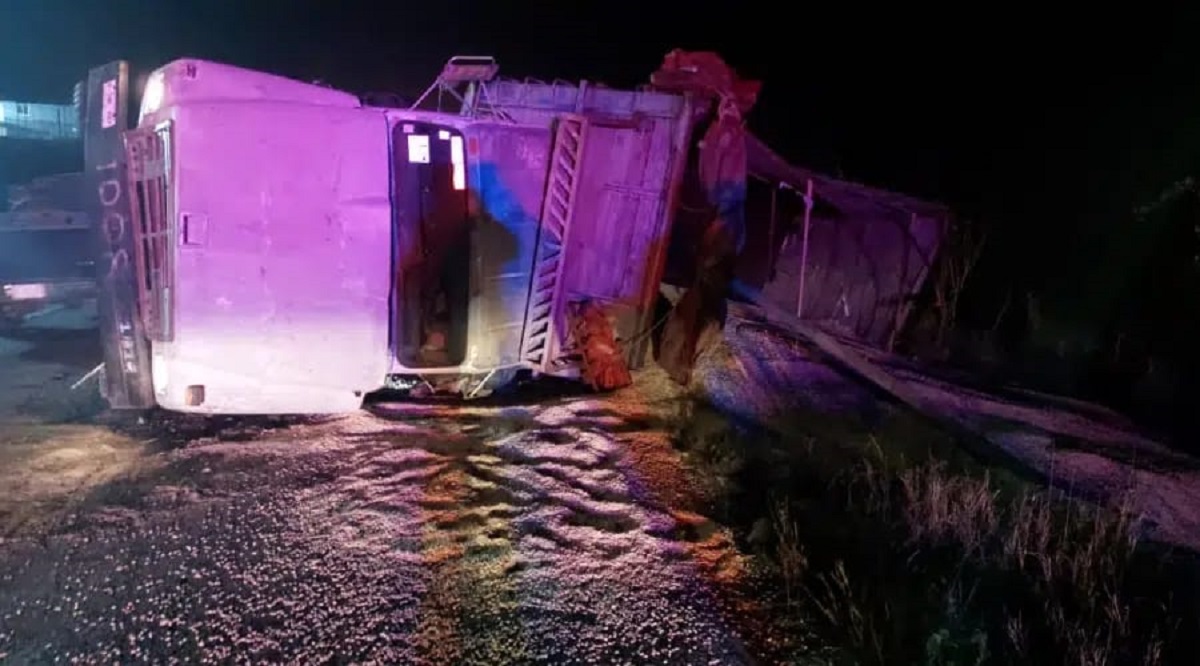Vuelca camión cargado de maíz sobre la carretera libre en Mazatlán