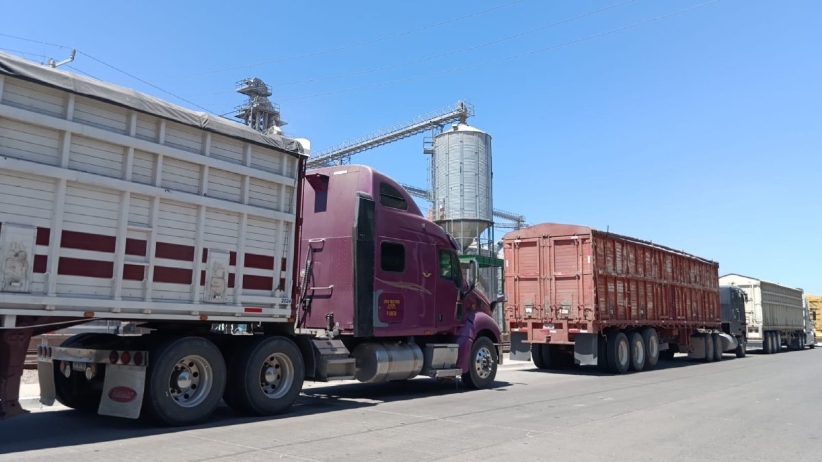 Productores de Sinaloa frenan envíos de granos y hortalizas al centro y occidente de México por ola de violencia