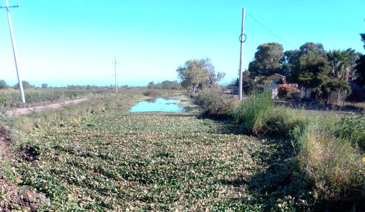 “Japama solventa con bombas y pipas desabasto de agua en comunidades”: Gerardo Hervás