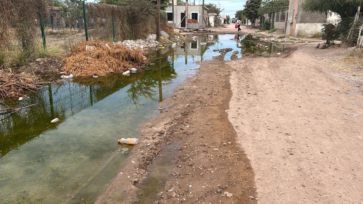 Falta de agua y fugas de drenaje son un problema constante en las sindicaturas: Erika Sánchez