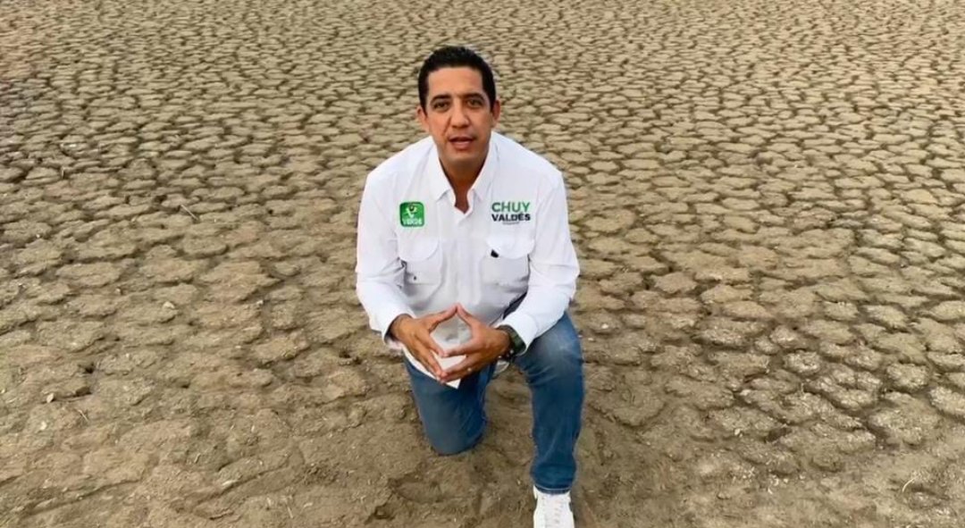 Candidatos al Senado del Verde Ecologista ofrecen sembrar un árbol por cada voto que reciban
