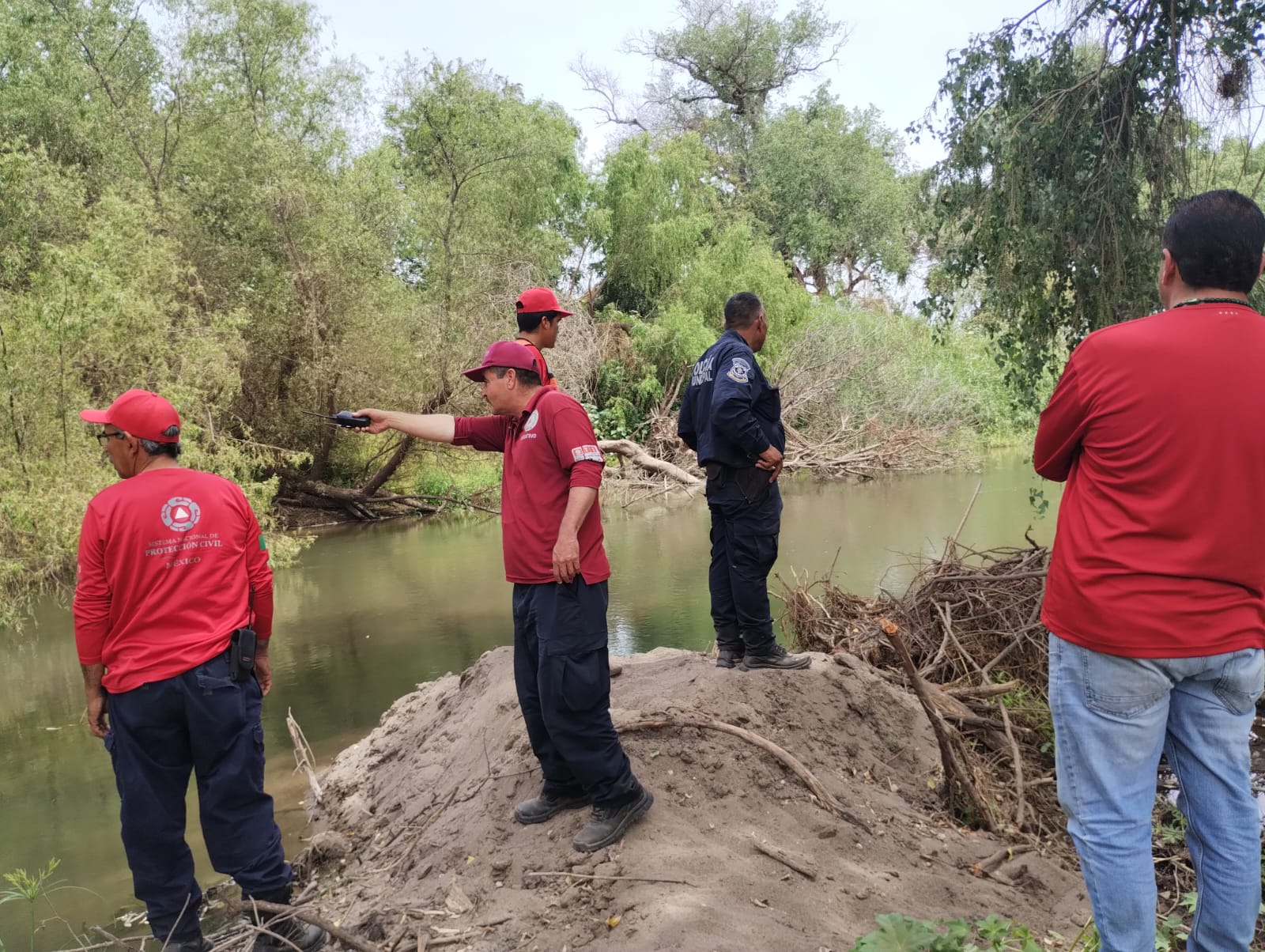 ¡No los han agarrado! Cocodrilos localizados en el río de Guasave siguen sueltos