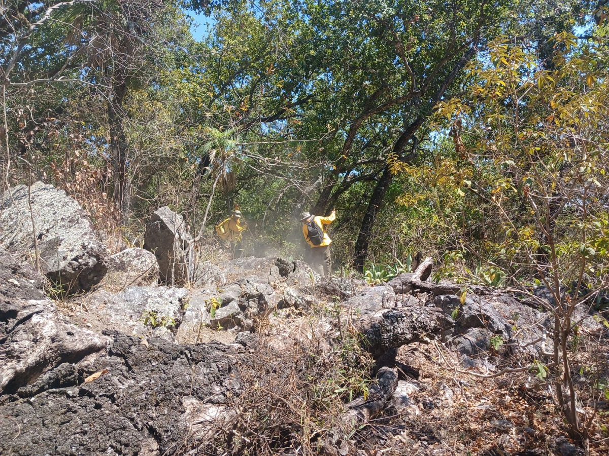 Cede el voraz incendio de Elota, se ha controlado al 90 por ciento