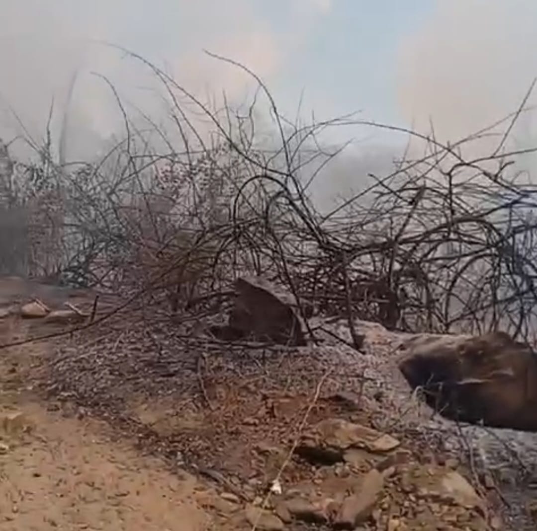 Se registra fuerte incendio en la comunidad de Las Guayabas, Choix