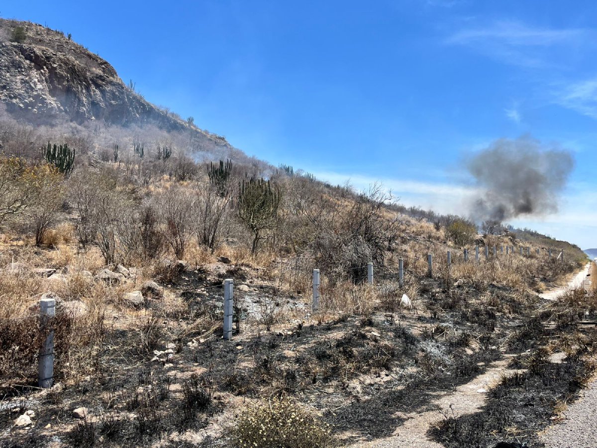Cuerpos de auxilio de Ahome, evitan incendio forestal en el Poblado 6