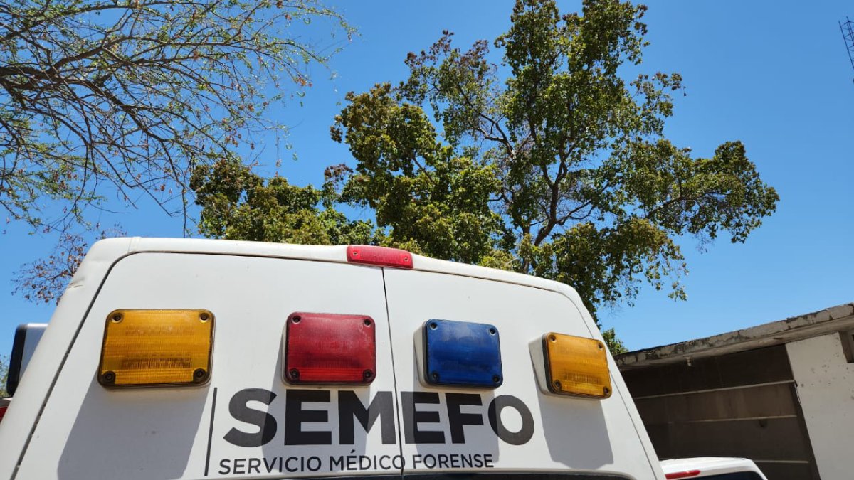 Tuvieron que pasar cinco años y medio para identificar a José Andrés, de Culiacán
