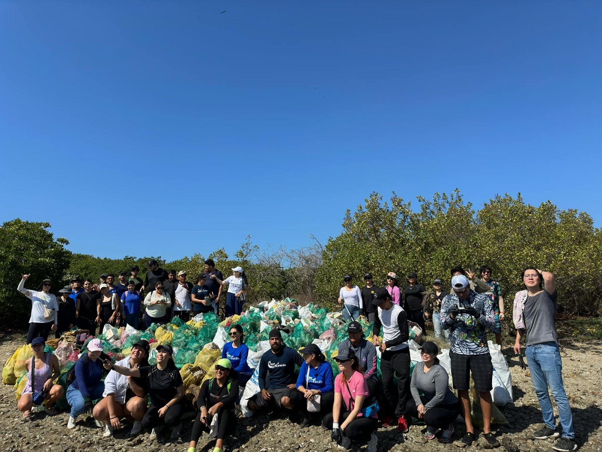 Mazatlán tiene ‘héroes verdes’, hacen travesía en favor del manglar en la Isla Basura