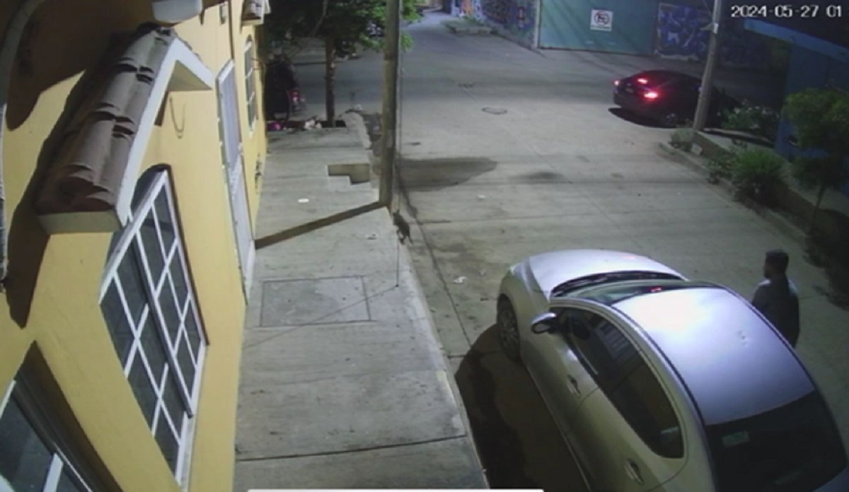 Captan en video cómo roban autopartes en Mazatlán