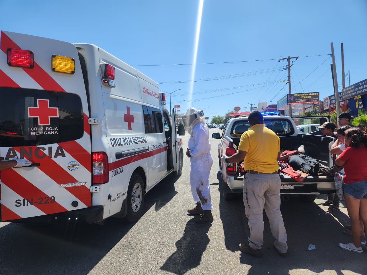 ¡Termina grave en un hospital! Mujer de 58 años es atacada por un enjambre de abejas en Culiacán