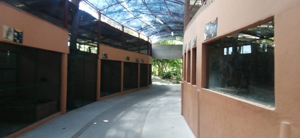 Parque Central de Mazatlán tendrá área de atención médica para animales silvestres