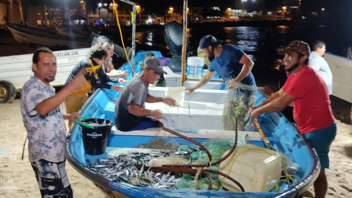 Fiesta en Playa Norte Mazatlán, ‘ya brotó el pajarito’