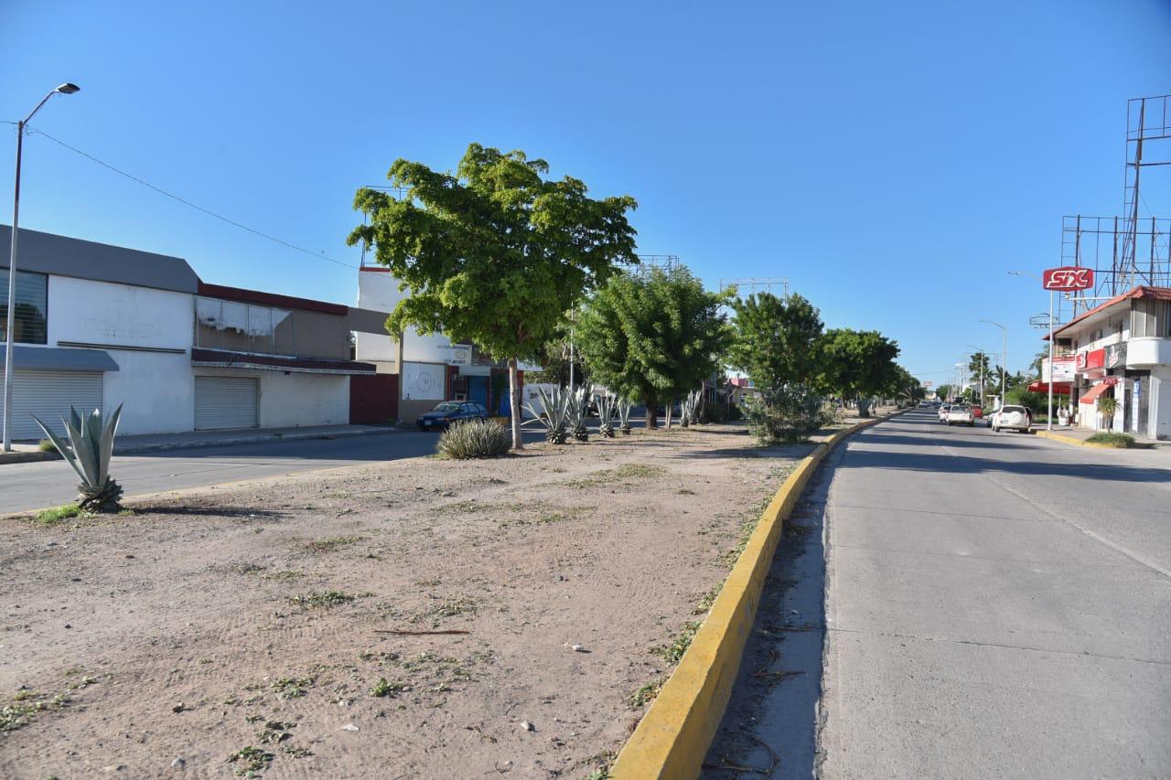 Desaloja el Ayuntamiento de Ahome a precaristas que invadieron terreno de la comuna