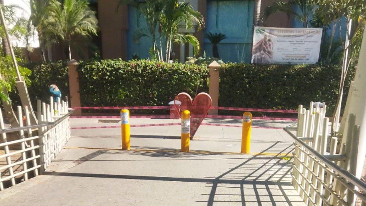 ¡Sin peligro! Retiran abejas del puente bimodal luego de hora y media de cerrar el paso