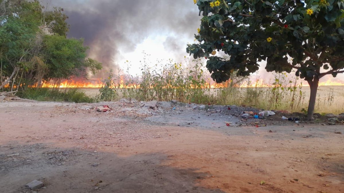 Impera incendios de soca en el Valle de El Carrizo; hay productores que niegan hacer esta mala práctica: JSV