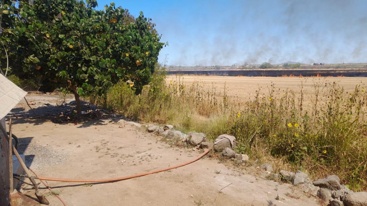 Se necesita que pongan orden a la quema de soca en El Carrizo; productores reconocen que es criminal la acción
