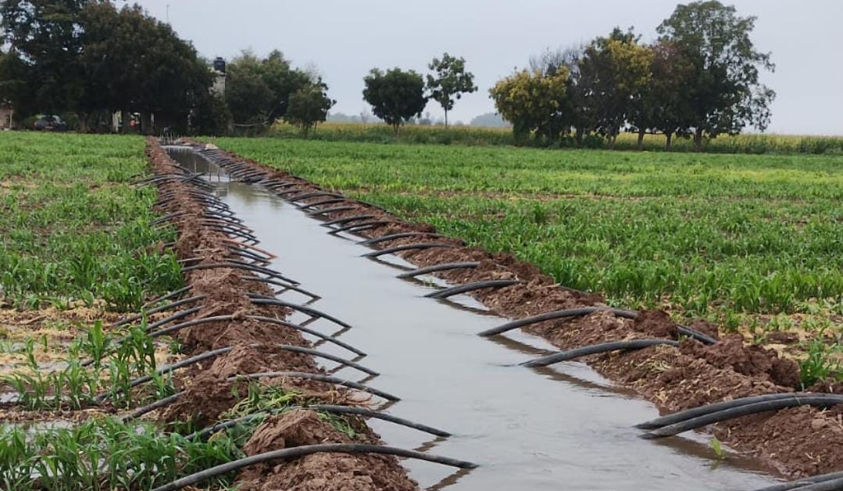Llueva o no se debe mantener la cultura del cuidado del agua: AARSP