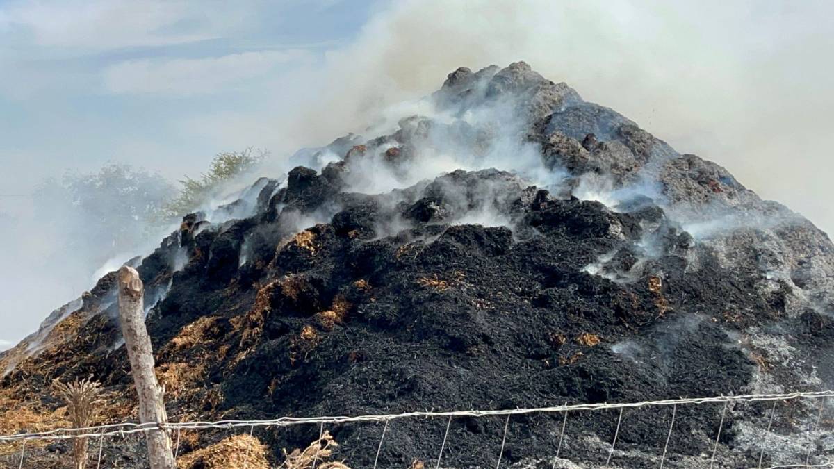 Se incendian más de 10 mil pacas de frijol en la sindicatura de Nío, en Guasave