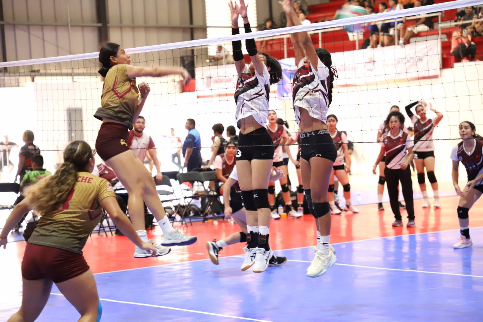 ¡Invictos! Sinaloa avanza a semifinales en voleibol de Nacionales CONADE 2024