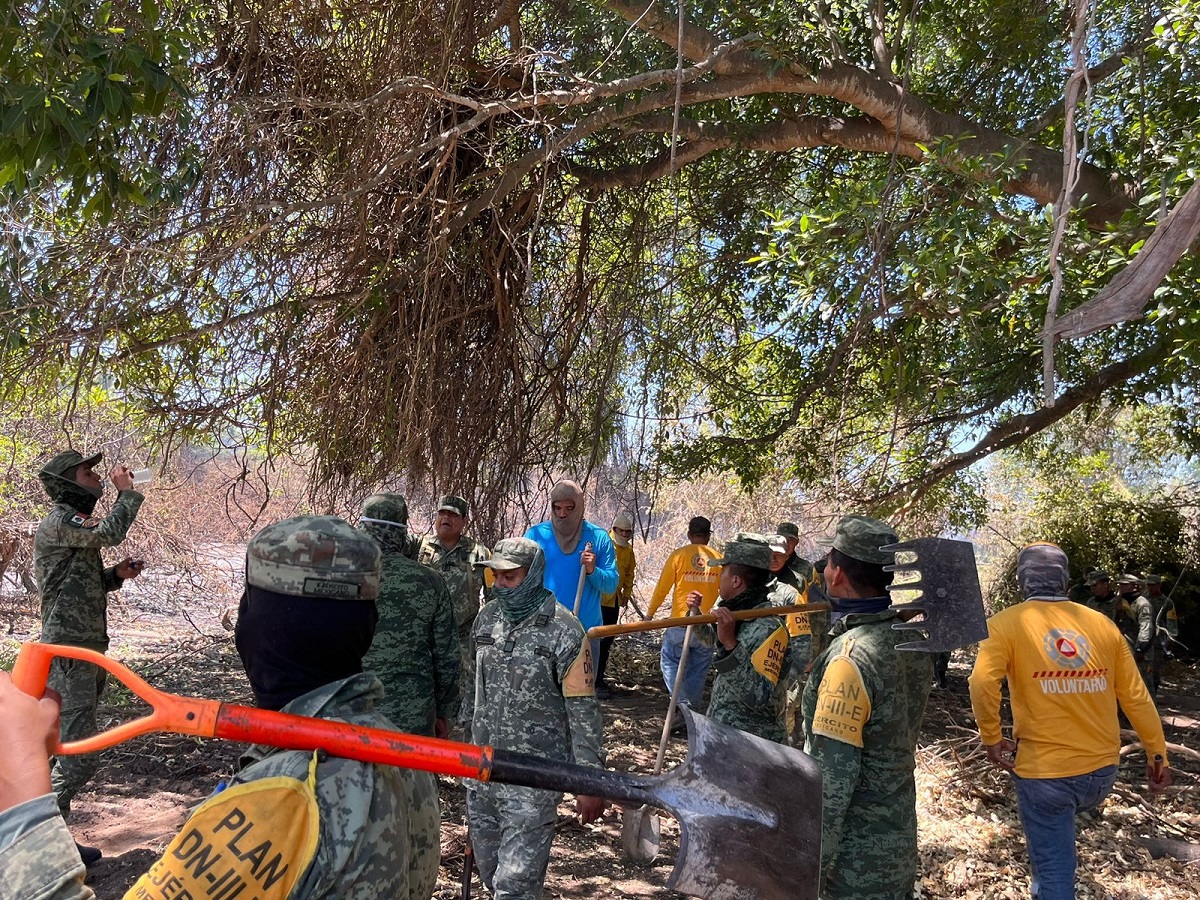 Sofocado el incendio forestal en San José de Cahuinahua, El Fuerte