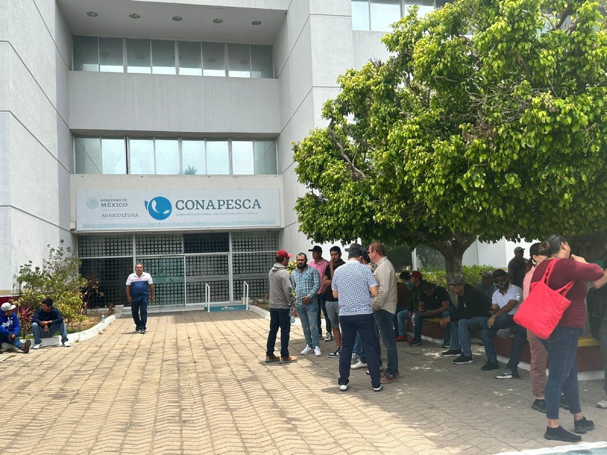 Acuacultores emprenderán manifestación indefinida en Conapesca el 13 de julio