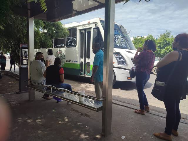 Choferes de urbanos en Mazatlán irán a votar y rutas se pueden demorar varios minutos: Alianza